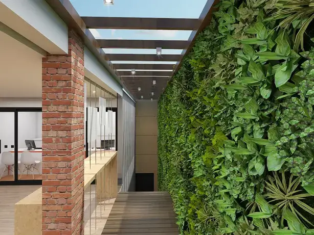 quanto custa comprar plantas de interior