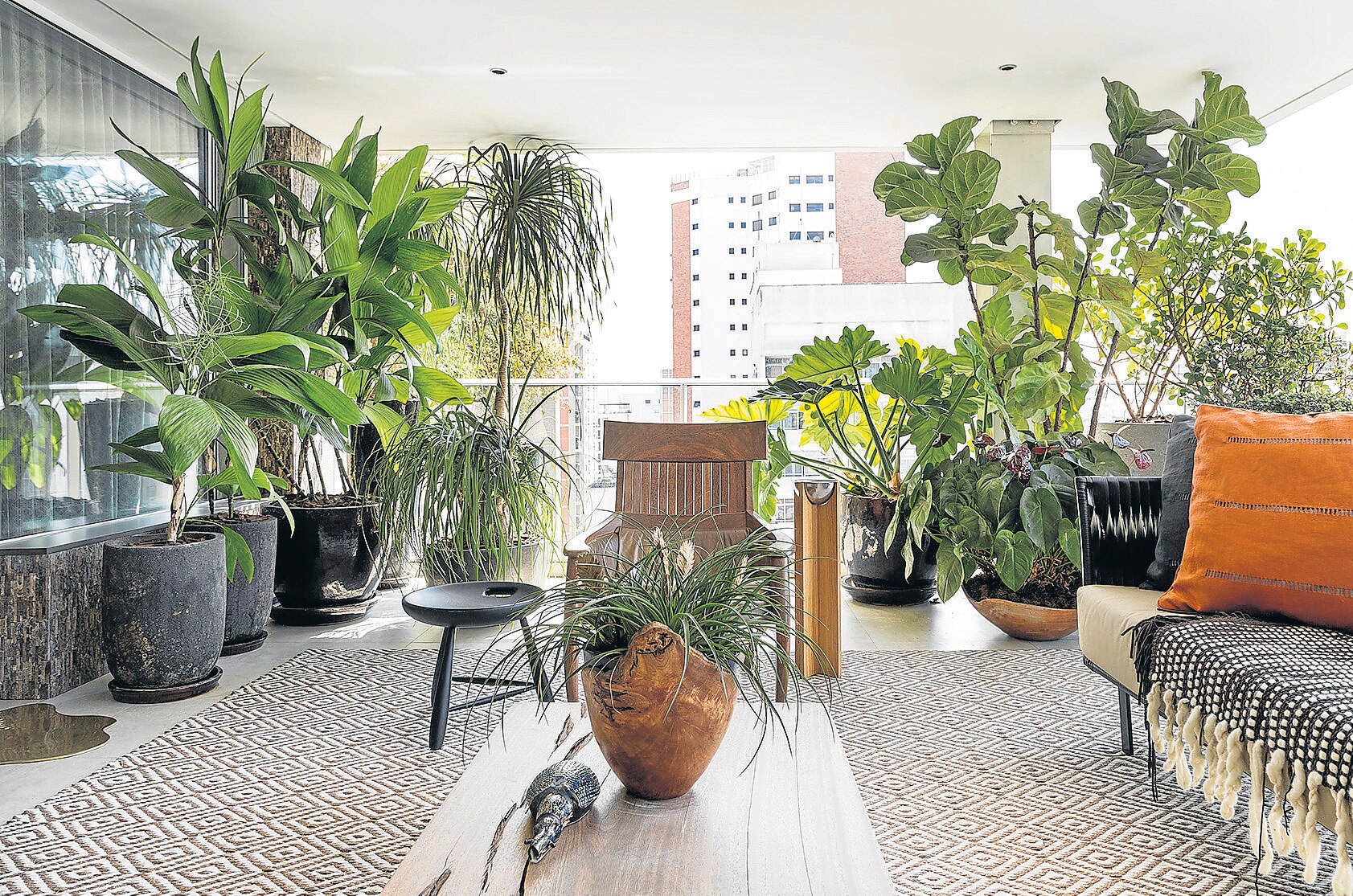 20 plantas para ambientes fechados