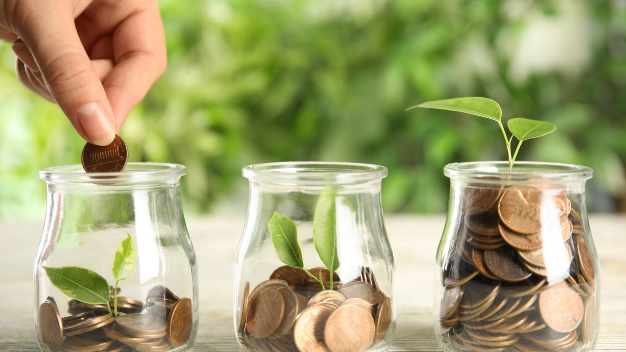 plantas de interior que atraem dinheiro