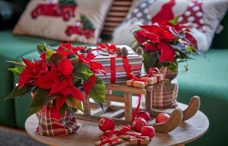 Arranjos de Natal com bolas de vidro