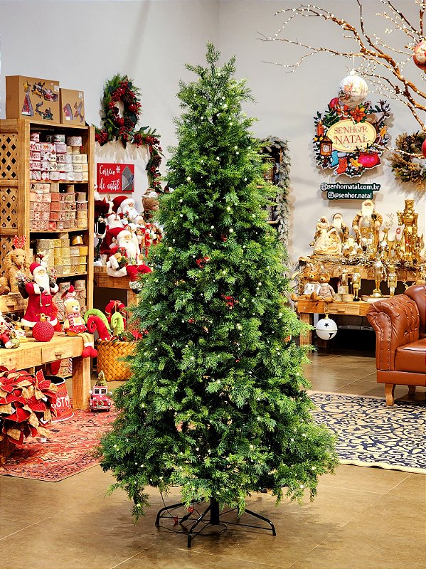 pinheiro de natal natural tuia