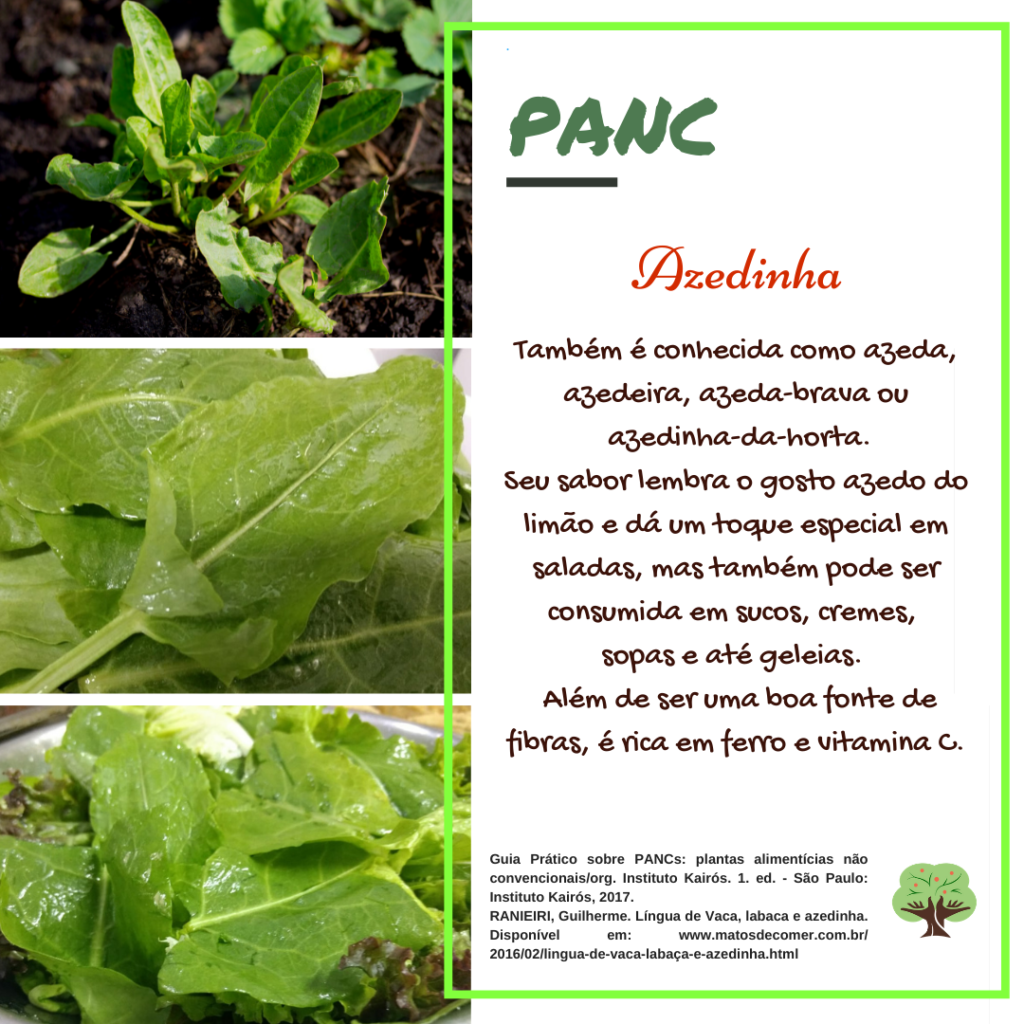 Rumex acetosa benefícios