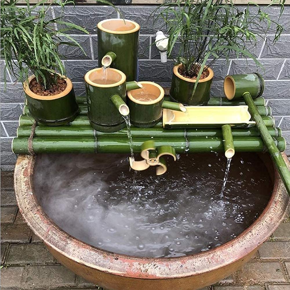como podar bambu japonês para controle