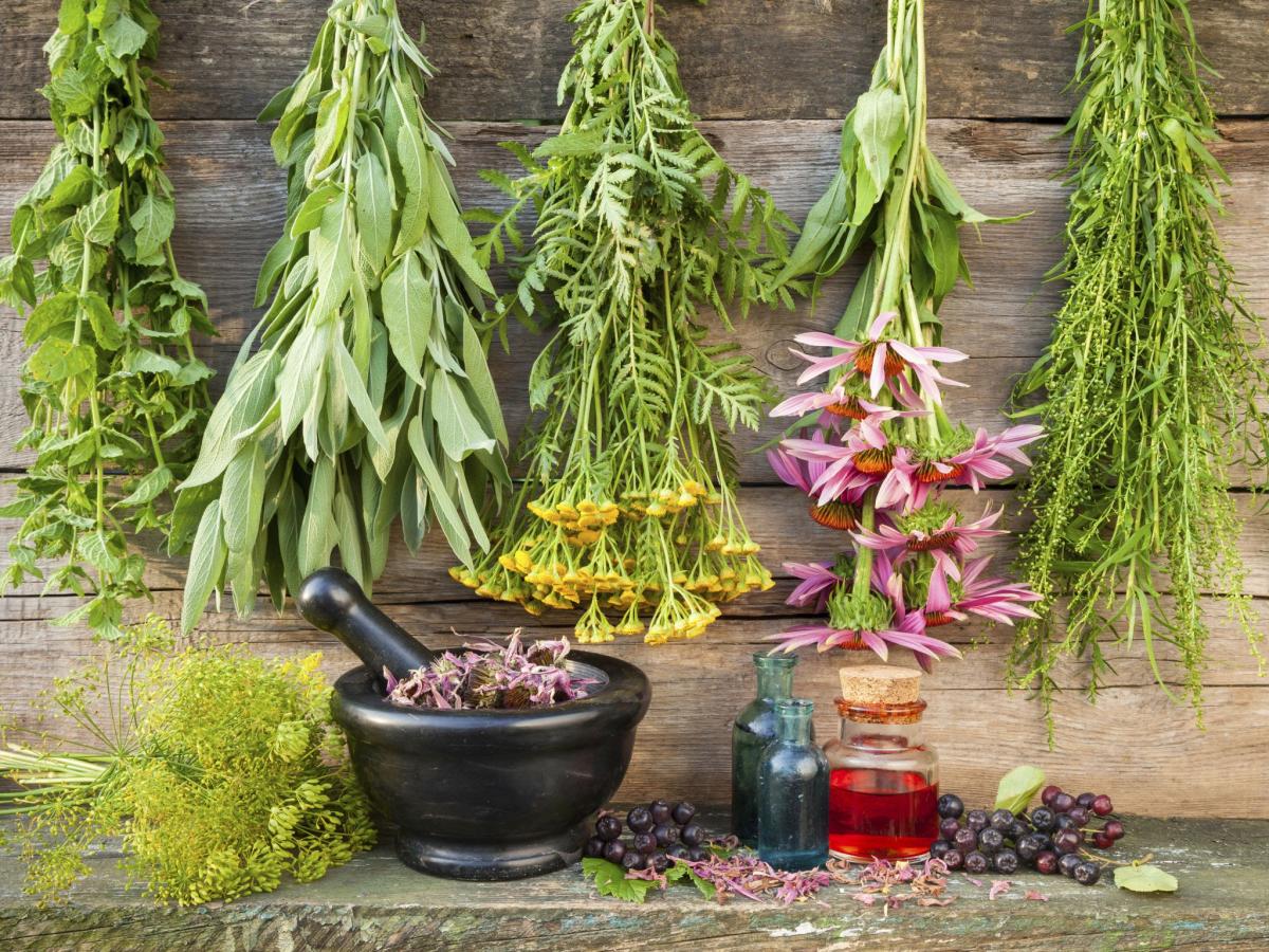 banho para atrair dinheiro