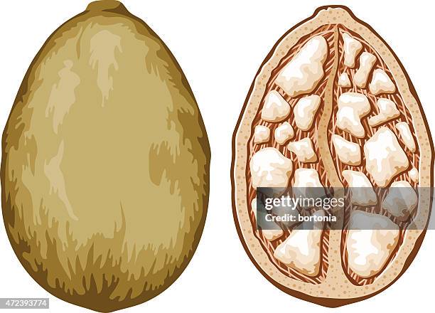 erros comuns ao consumir pó de baobá