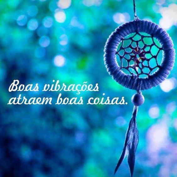 melhores plantas para atrair boas energias