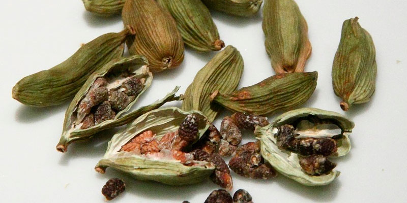 plantas de especiarias para ter em casa