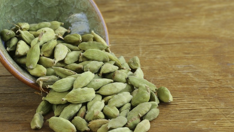 erros comuns ao cultivar cardamomo