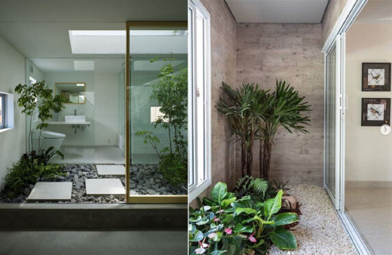 erros comuns ao montar jardim de inverno