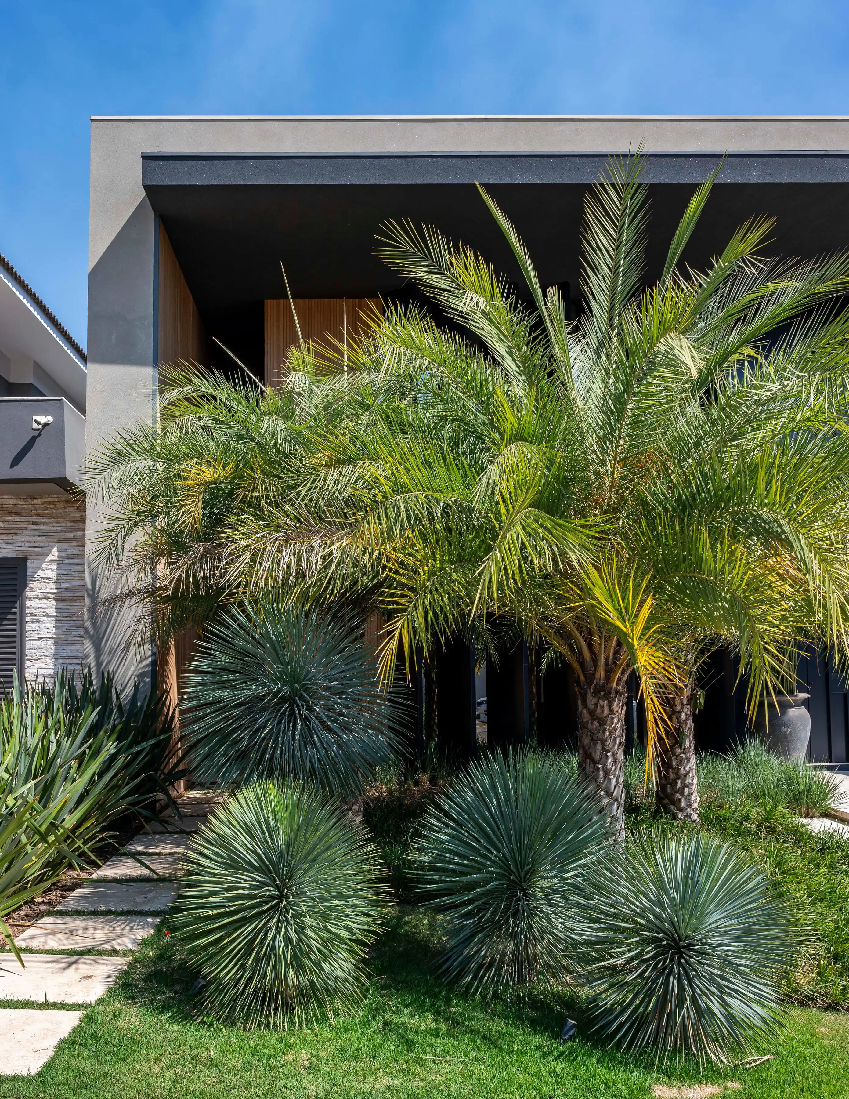 como fazer um jardim vertical em apartamento