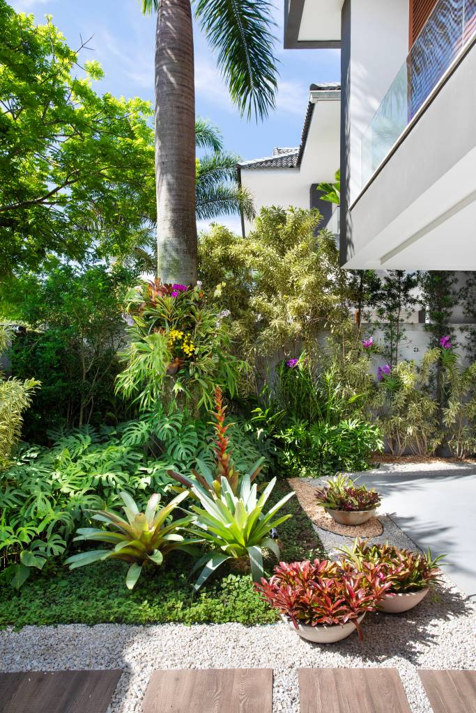 paisagismo tropical
