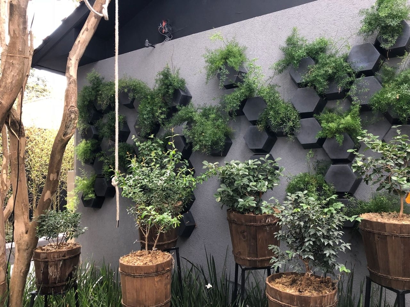 plantas resistentes para jardim