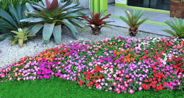 jardim com pouca manutenção