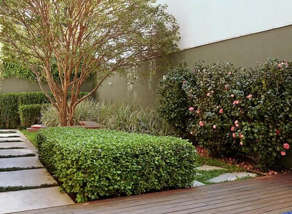 custo de instalacao de cerca viva por metro