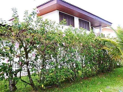 erros comuns ao plantar cerca viva no jardim