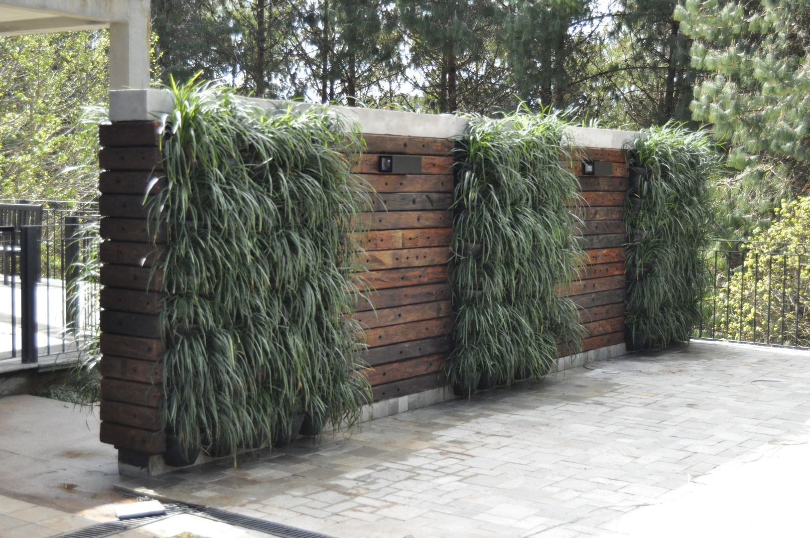 plantas para privacidade