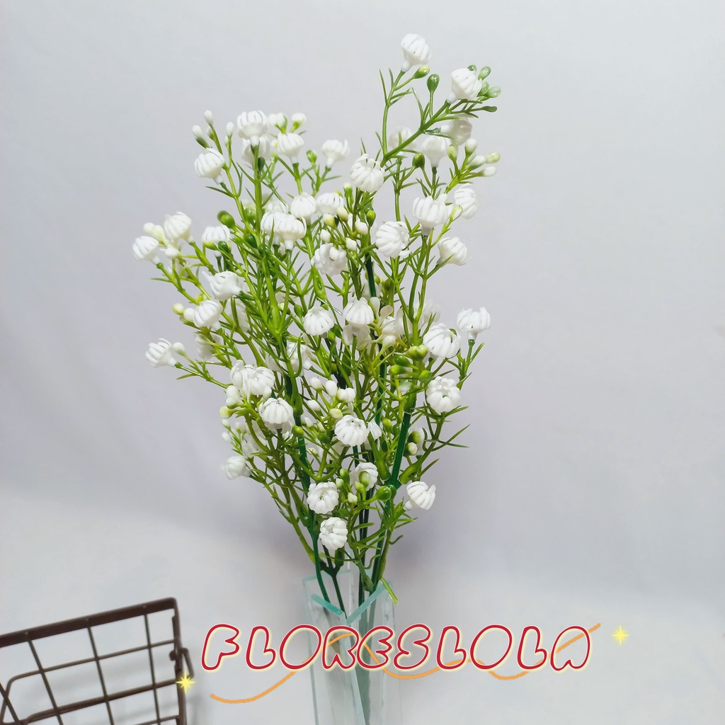 planta com folhas prateadas