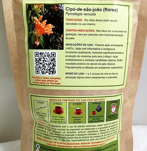 cipó de são joão laranja