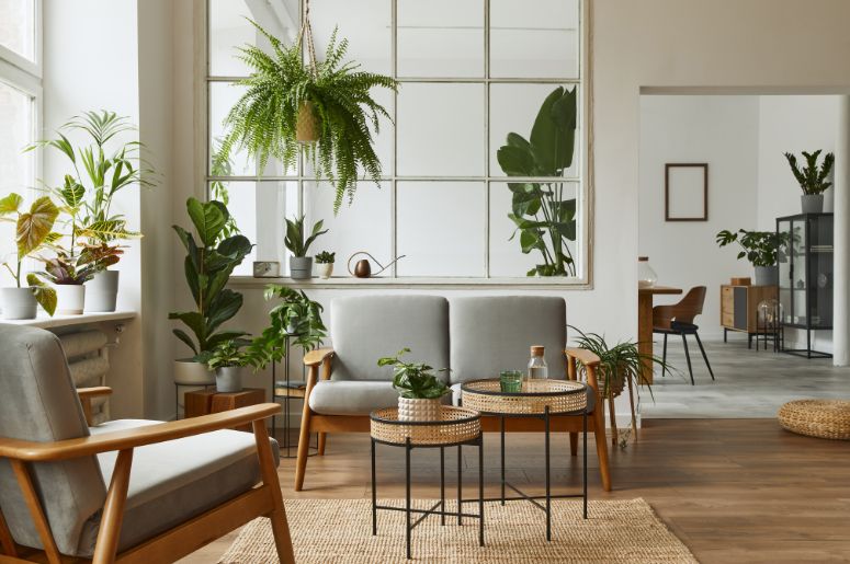 decoração com plantas