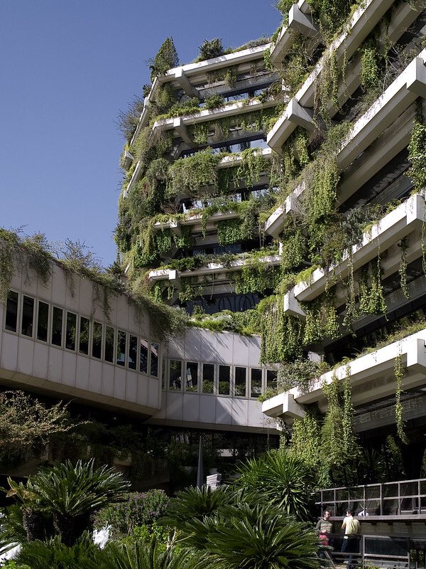 eco brutalismo arquitetura