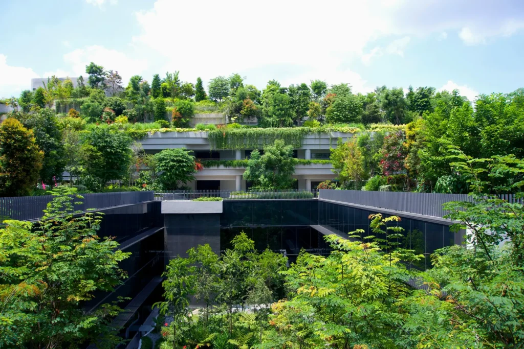 design concreto e natureza