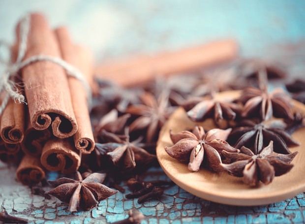 como espantar formigas da cozinha