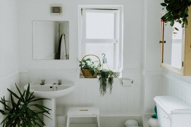feng shui banheiro plantas