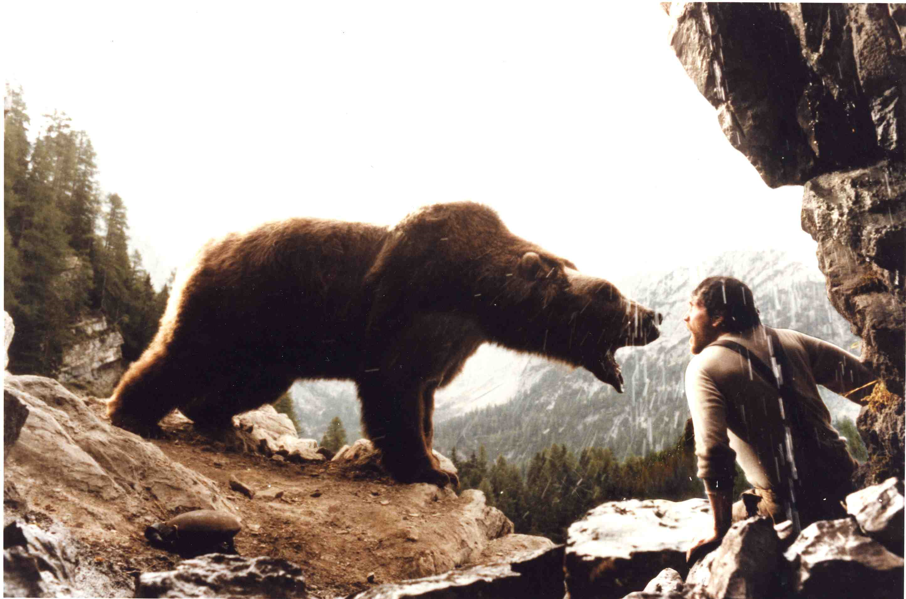 animações com animais