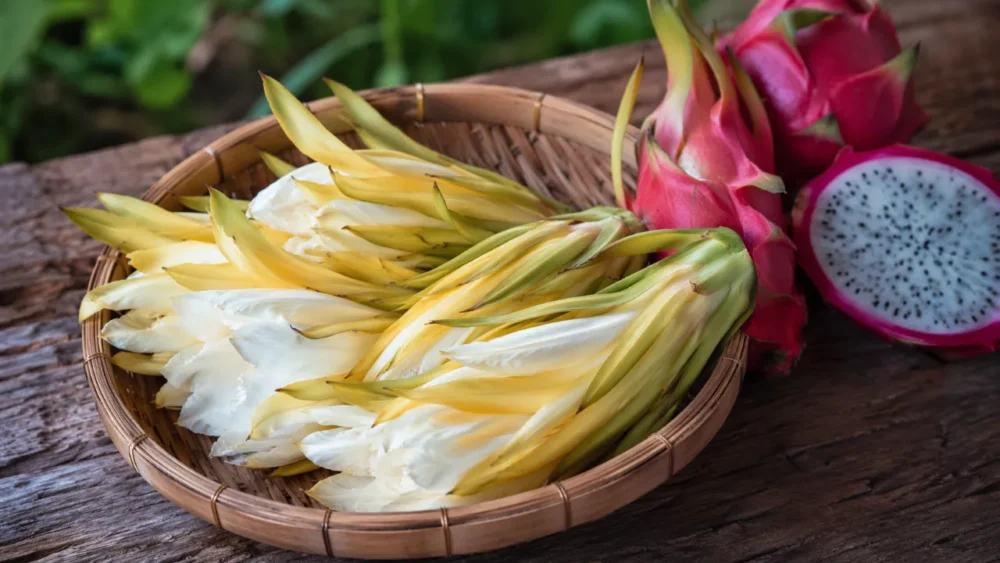 flor de pitaya medicinal