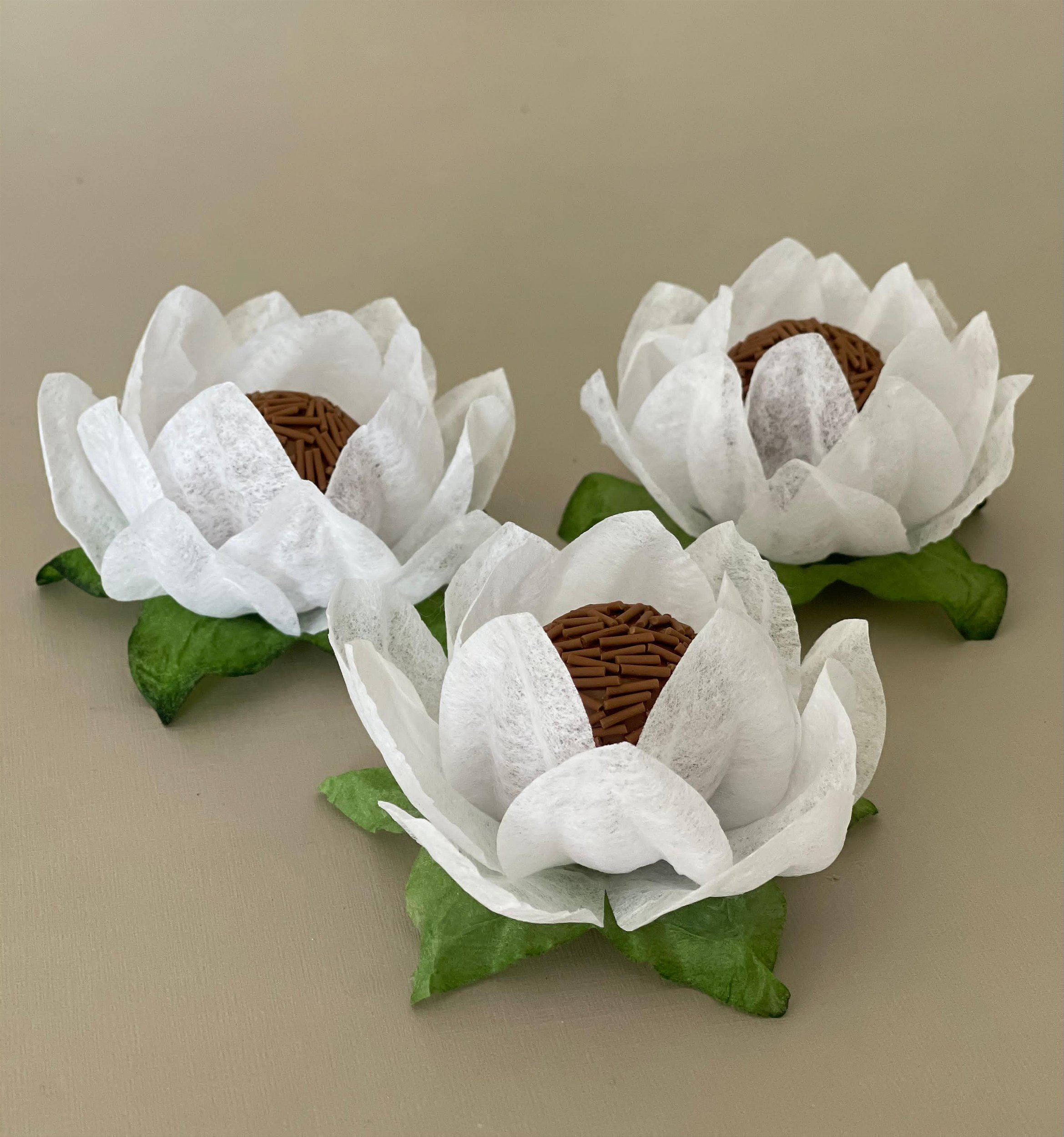 Benefícios da Passiflora