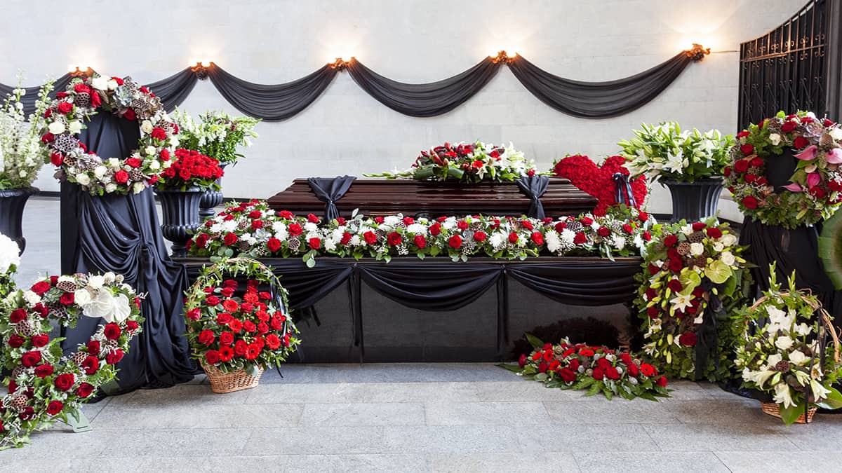 crisântemo vs lírio para velório qual escolher