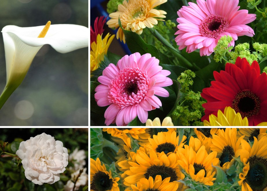 quanto custa uma coroa de flores para velório