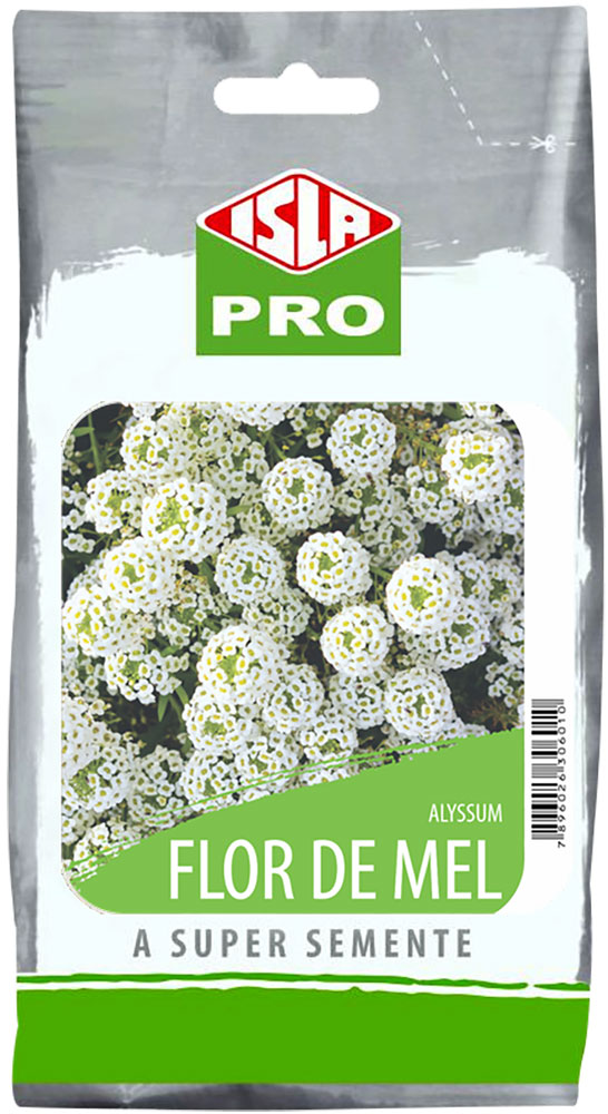 alisso planta