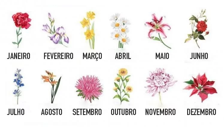 flores de natal