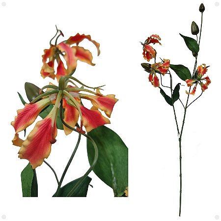 significado de flores exóticas