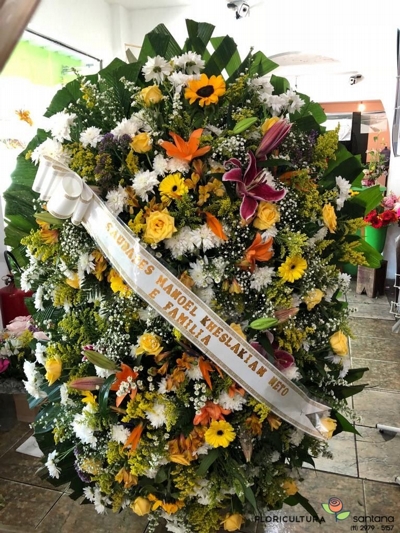 flor para expressar paz