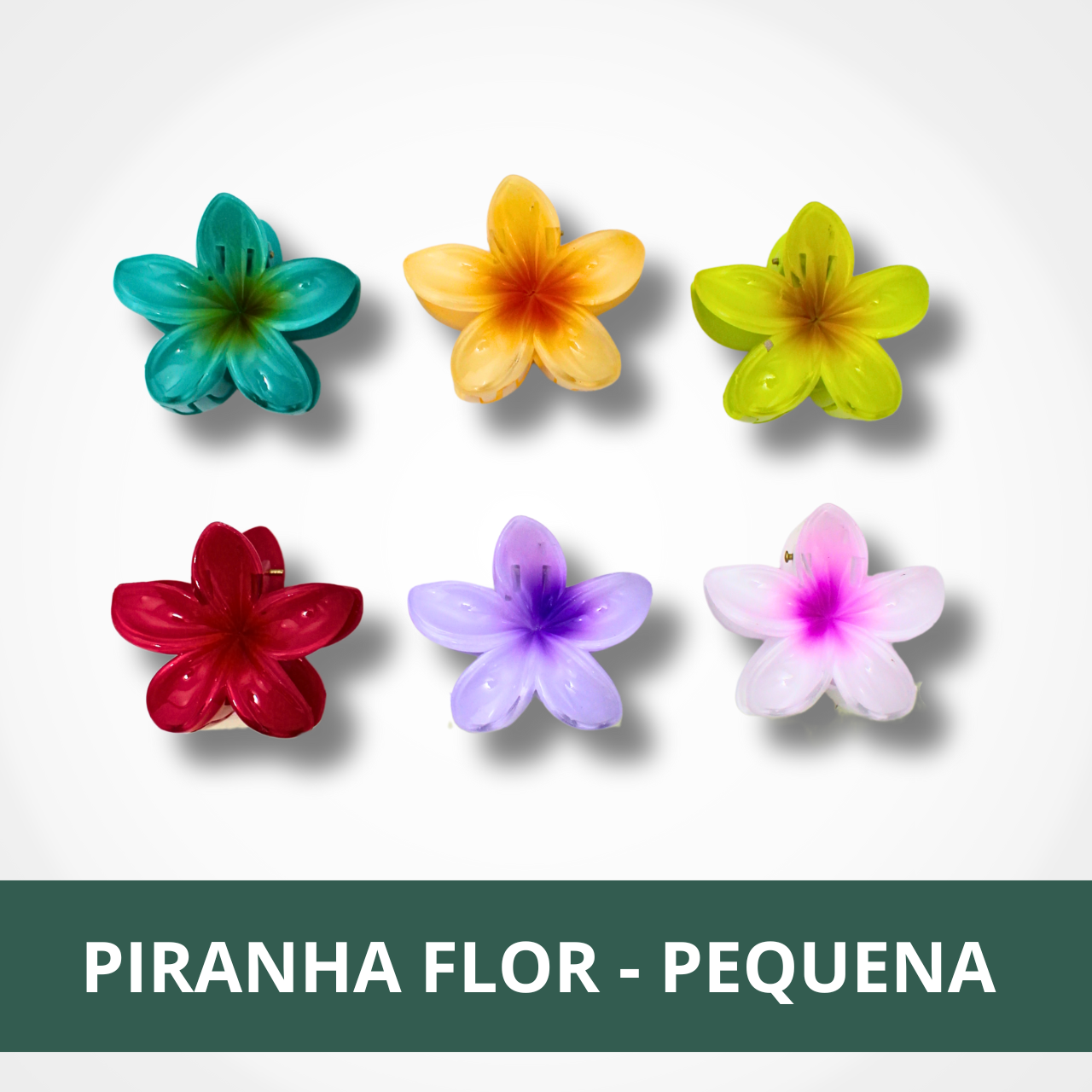 flores pequenas para iniciantes