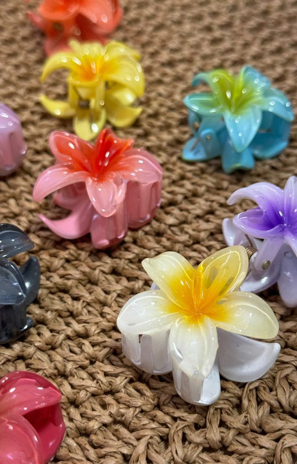 flores pequenas para jardim de inverno