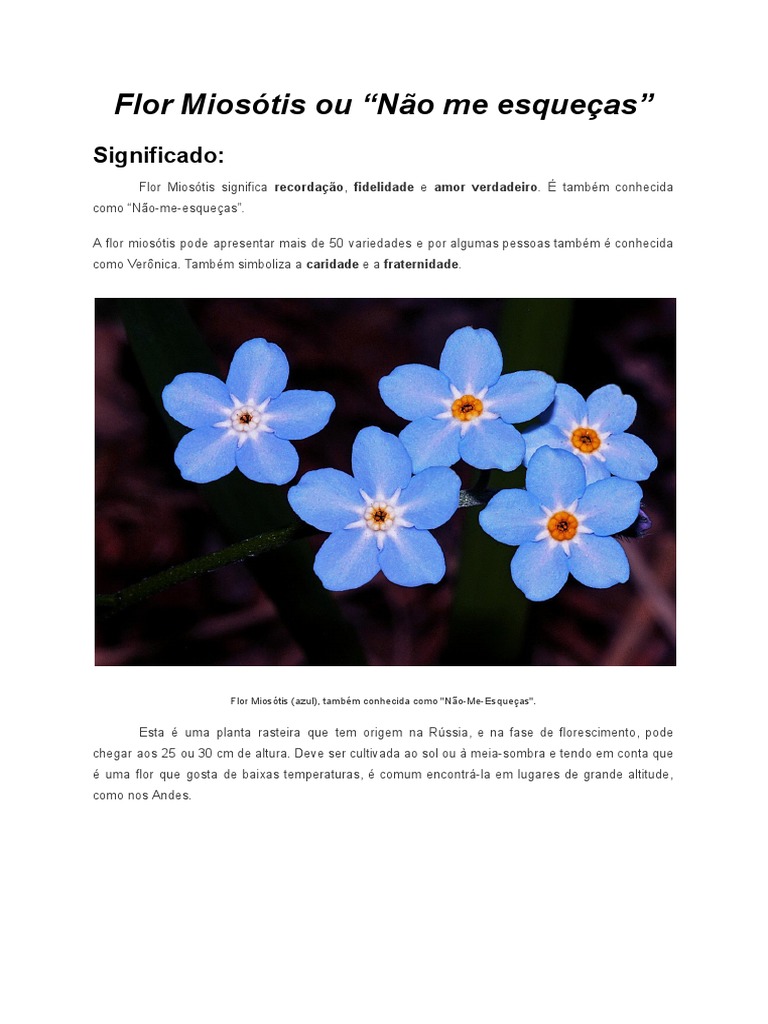 flores para expressar amor verdadeiro