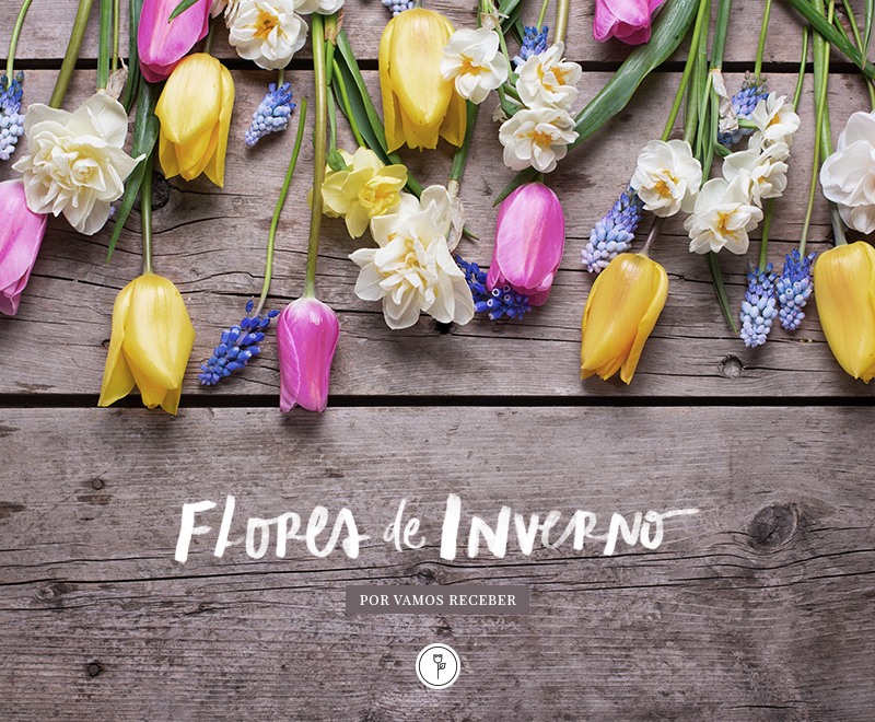 plantas de inverno resistentes