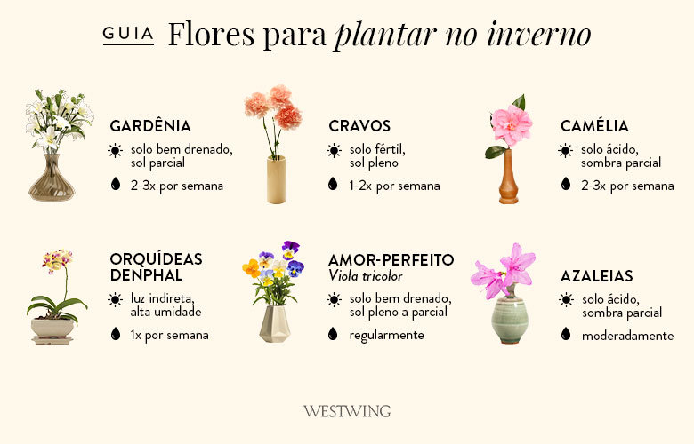 flores de inverno para varanda pequena