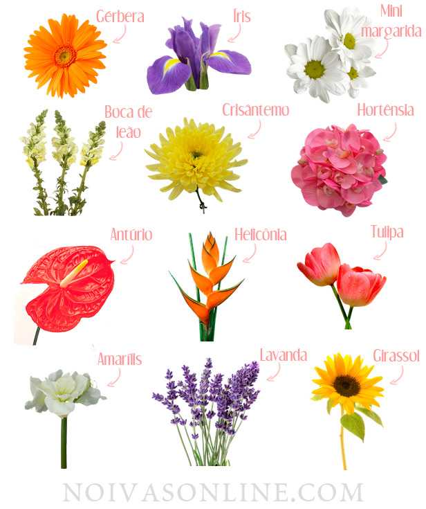 flores resistentes ao calor