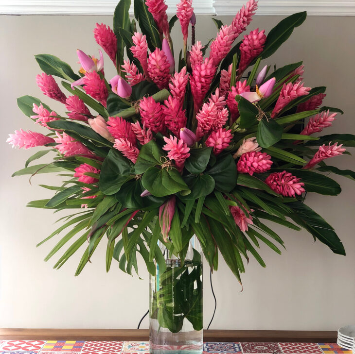 flores exóticas vs flores comuns