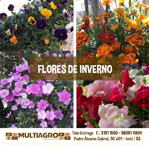 flores para jardim no inverno