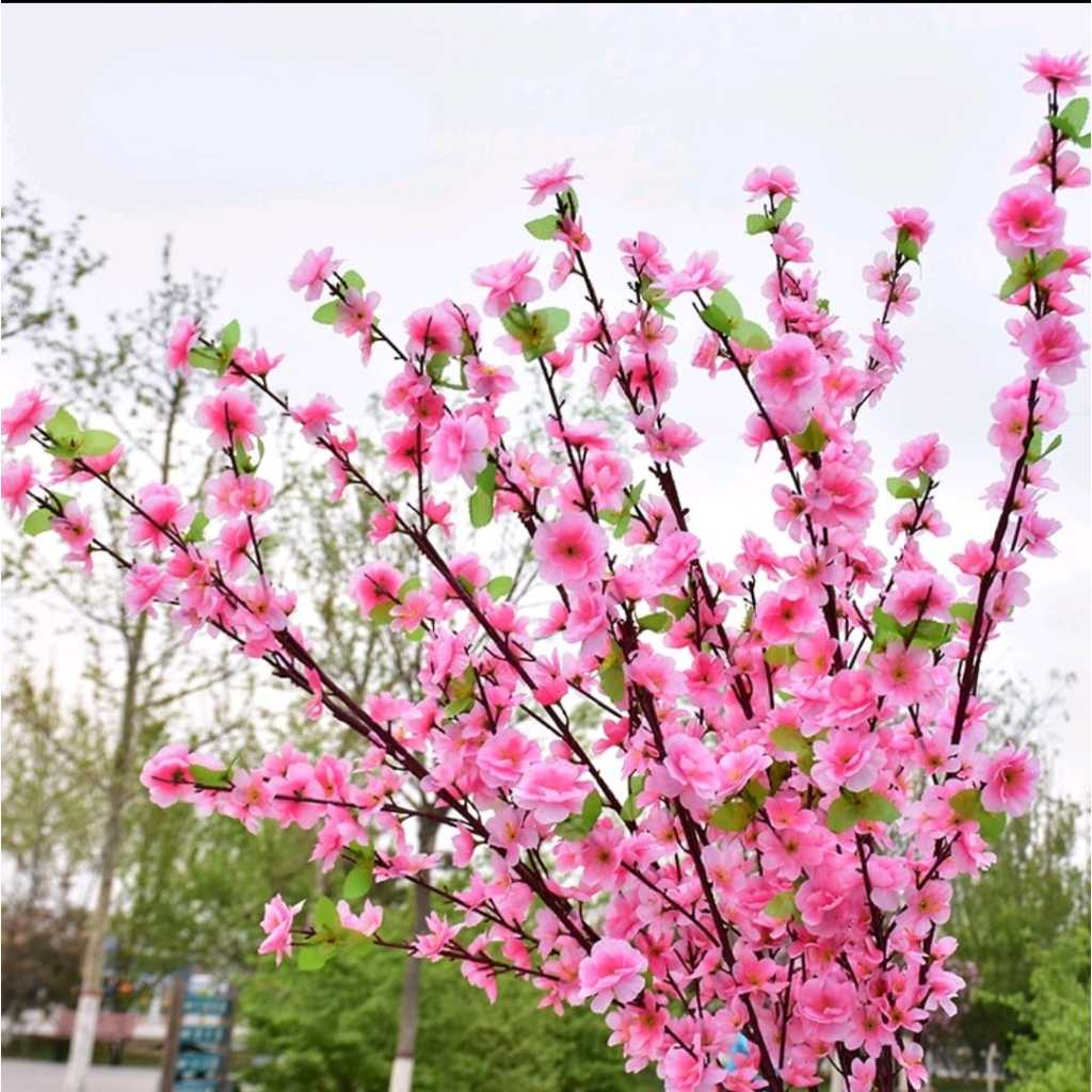 jardim japonês plantas