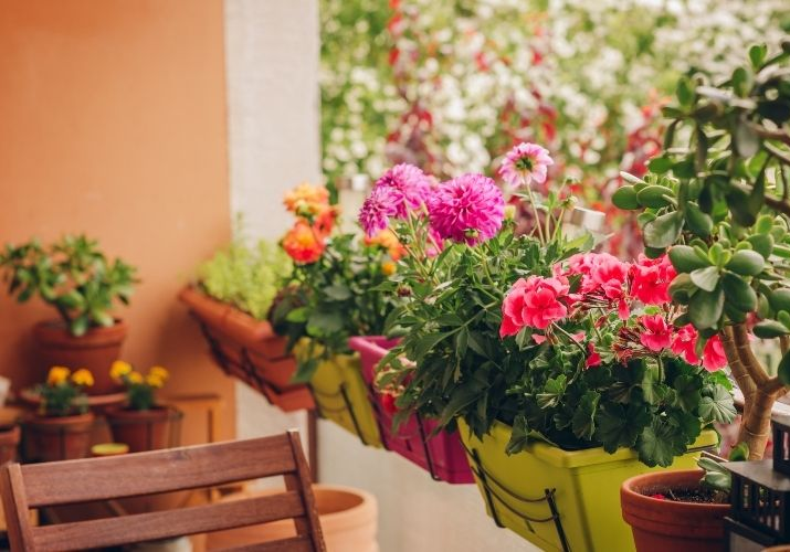 melhores flores para decorar sala