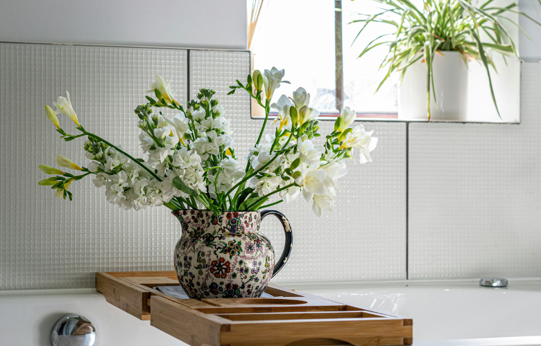 plantas para banheiro com pouca luz