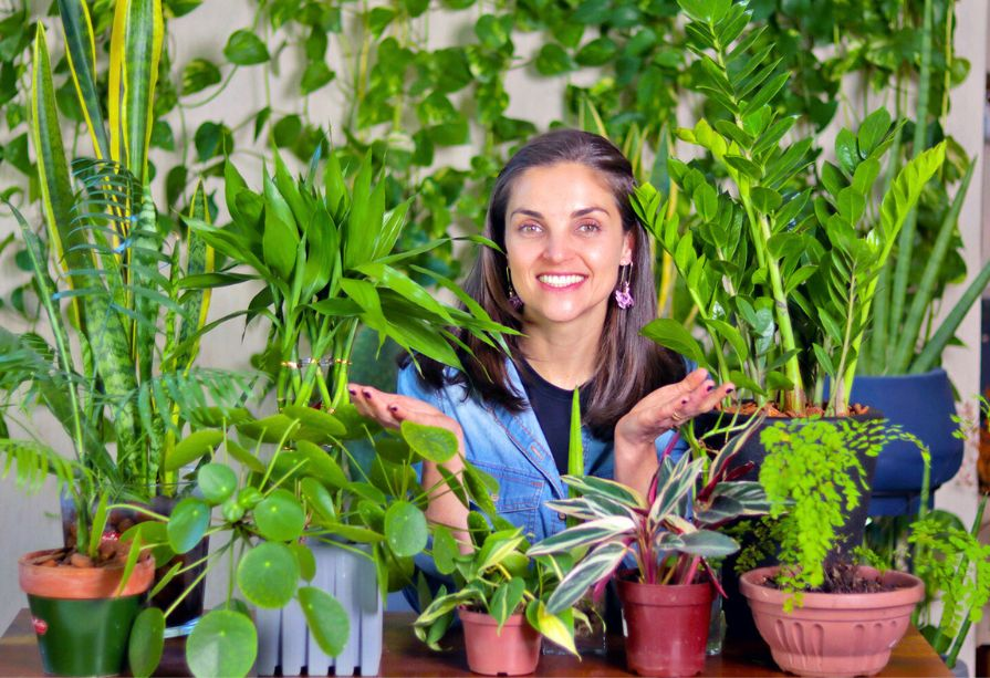 plantas que gostam de umidade banheiro