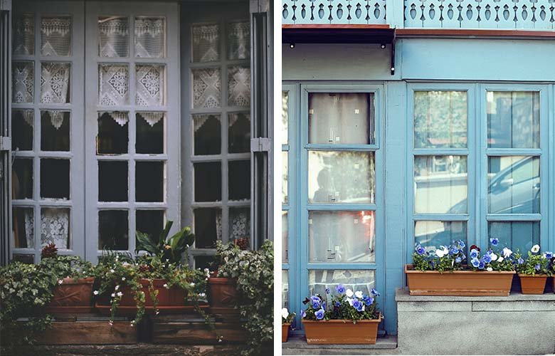 flores para jardineira de janela