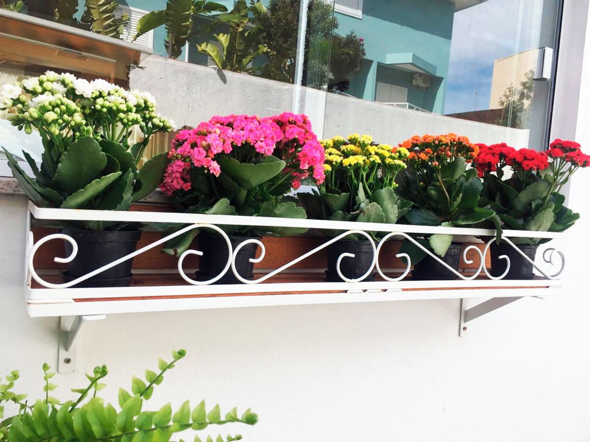 flores pendentes para jardineira de janela com pouca luz